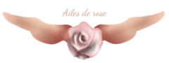 Logo ailes de rose - disponible chez Ailes de Rose, boutique à Coursan près de Narbonne